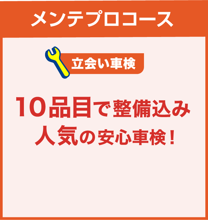 メンテプロコース